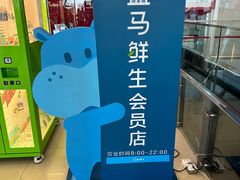 -盒马鲜生(大成店)