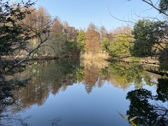 -东湖落雁景区