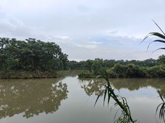 -大湾区中央湿地公园