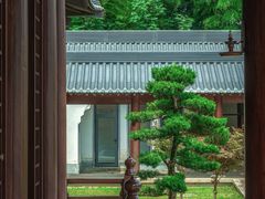 -兰亭风景区
