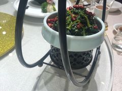 -天福苑(崇宁路店)