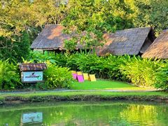 -大象粑粑造纸公园