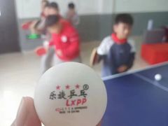-乐旋乒乓球(广州西湾路店)