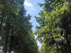 -山王坪喀斯特国家生态公园