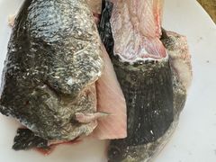 -活鱼馆(宜兴埠店)