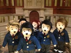 -济州岛泰迪熊博物馆