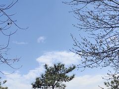 -永定河休闲森林公园