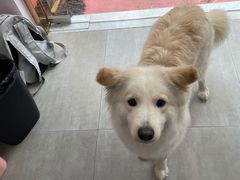 -佳雯宠物医院(四明中路分院)