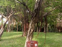 -白沙门生态公园
