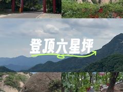 -六里坪国家森林公园