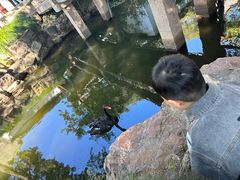 -水绘园