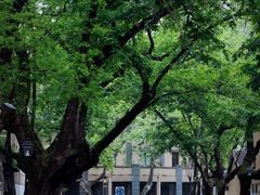 -颐和路民国时期公馆风貌区