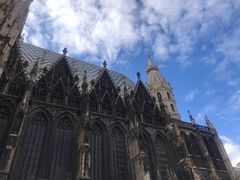 -斯蒂芬主教座堂(Stephansdom)