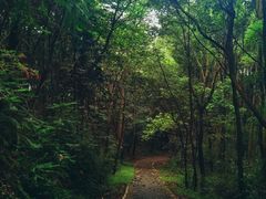 -青龙山国家森林公园