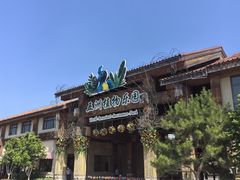 -南宫五洲植物乐园