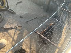 -无锡动物园·太湖欢乐园