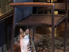 -Shanghai Brew House上海啤酒工坊(老外街店)