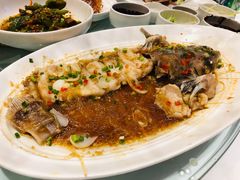 清蒸江团鱼-眉州东坡·熊猫主题餐厅(枫蓝店)
