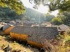 -杨家堂村