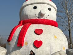 -葫芦古镇关东民俗雪乡