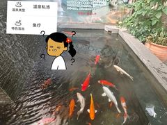 -泉眼温泉