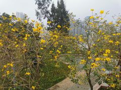 -狐尾山公园