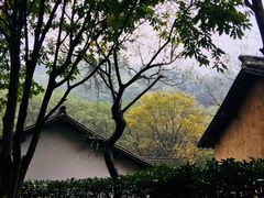 -法云安缦酒店