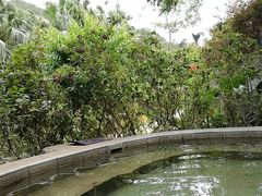 -江门古兜温泉小镇