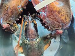 -王四营海鲜市场
