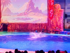 -华夏文旅海洋公园