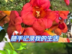 -龙头寺公园