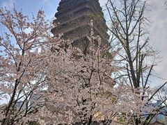 -西安博物院