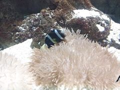 -苏州海洋馆