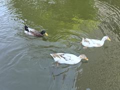 -海底捞火锅(泉城路店)