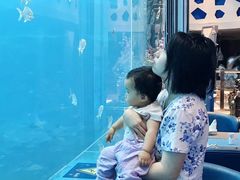 -瑞德姆美人鱼海底演艺主题餐厅(亚龙湾店)