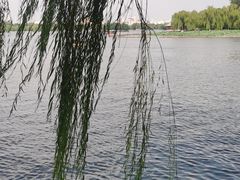 -济南大明湖景区