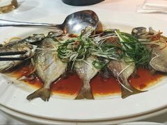 -阳江餐厅·30年老字号·粤菜海鲜大排档