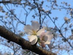 -苏州上方山国家森林公园