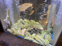 -熙瓏里(万科店)