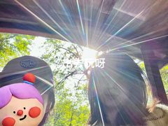 -杭州西溪喜来登度假大酒店