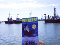 -Steveston Pizza Company (Richmond)