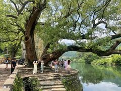 -上坦村