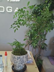 -归位瑜伽＆普拉提馆