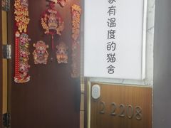 -猫十亿·布偶金渐层·曼基康矮脚猫舍(青年路店)