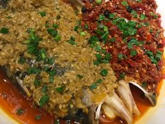 -豐柏轩食府