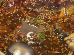 -味之绝热血美蛙鱼火锅(中坝店)