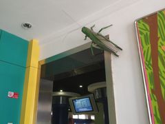 -上海昆虫博物馆