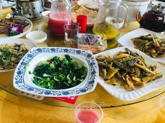 -鲤鱼塘农家山庄