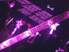 -南京奥林匹克体育中心-体育馆