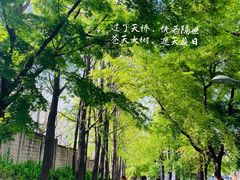 -梨泰院